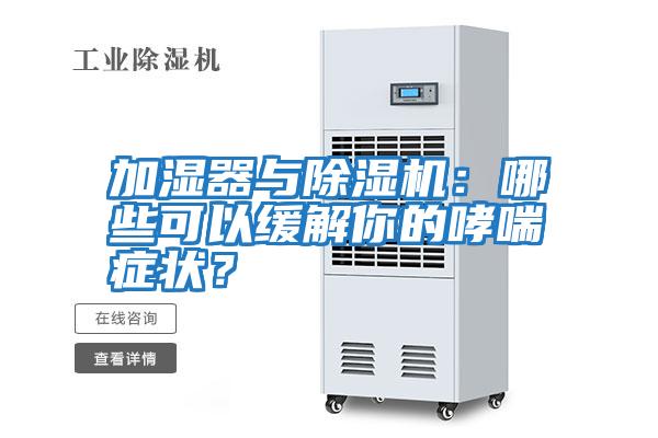 加濕器與除濕機：哪些可以緩解你的哮喘癥狀？