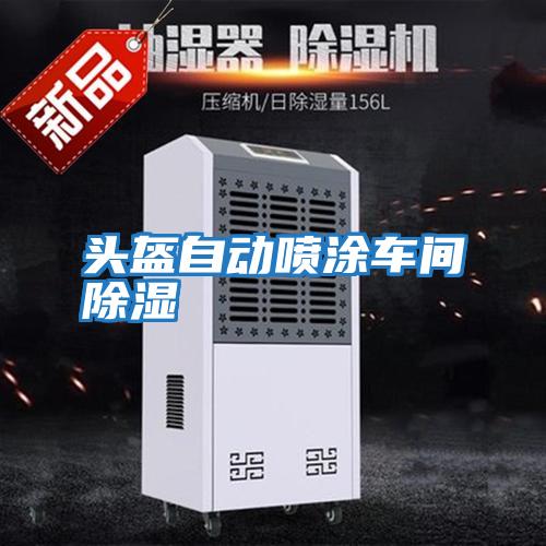 頭盔自動(dòng)噴涂車(chē)間除濕