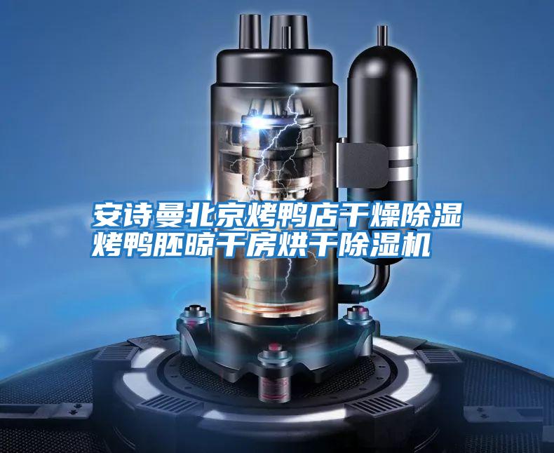 安詩(shī)曼北京烤鴨店干燥除濕烤鴨胚晾干房烘干除濕機