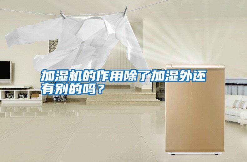 加濕機的作用除了加濕外還有別的嗎？