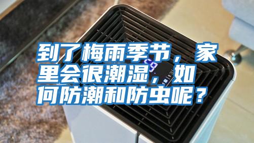 到了梅雨季節，家里會(huì )很潮濕，如何防潮和防蟲(chóng)呢？