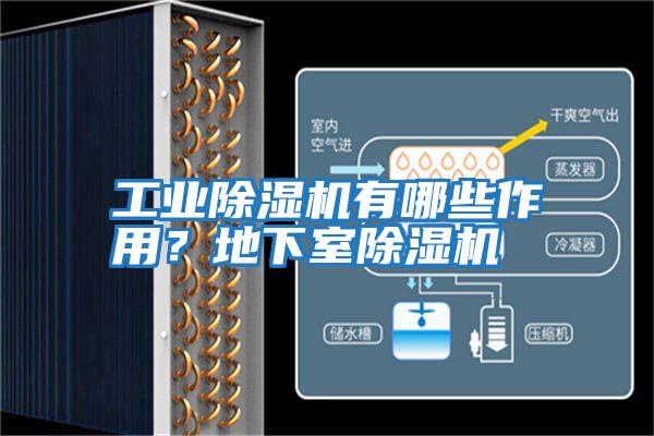 工業(yè)除濕機有哪些作用？地下室除濕機