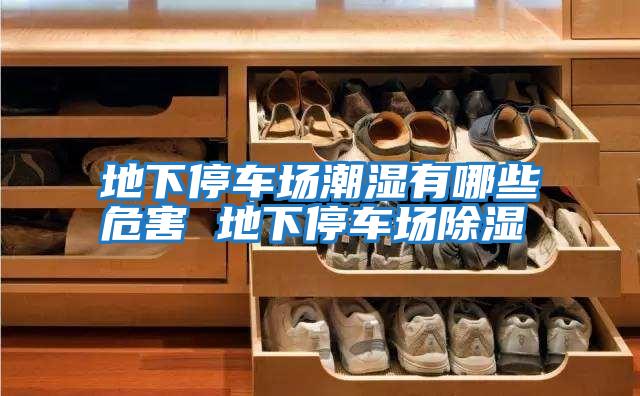 地下停車(chē)場(chǎng)潮濕有哪些危害 地下停車(chē)場(chǎng)除濕