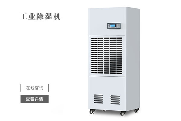 四季都潮濕，一臺除濕機就可以解決