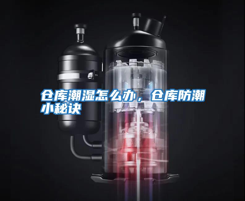 倉庫潮濕怎么辦，倉庫防潮小秘訣