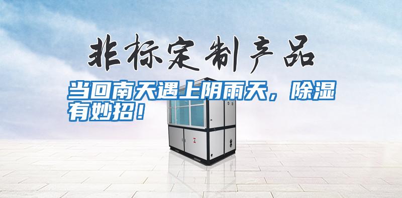 當回南天遇上陰雨天，除濕有妙招！