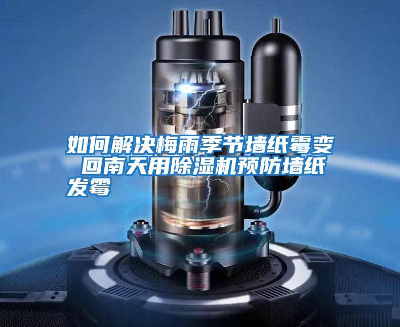 如何解決梅雨季節墻紙霉變 回南天用除濕機預防墻紙發(fā)霉