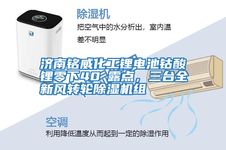 濟南銘威化工鋰電池鈷酸鋰零下40℃露點(diǎn)，三臺全新風(fēng)轉輪除濕機組