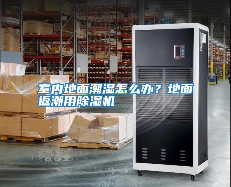 室內地面潮濕怎么辦？地面返潮用除濕機