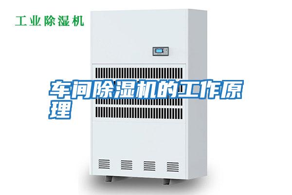 車(chē)間除濕機的工作原理