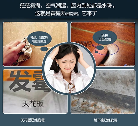 酒店、餐廳這么潮，誰(shuí)還放心？除濕機用起來(lái)啊