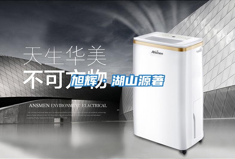 旭輝·湖山源著(zhù)