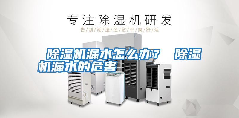  除濕機漏水怎么辦？ 除濕機漏水的危害