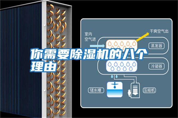 你需要除濕機的八個(gè)理由