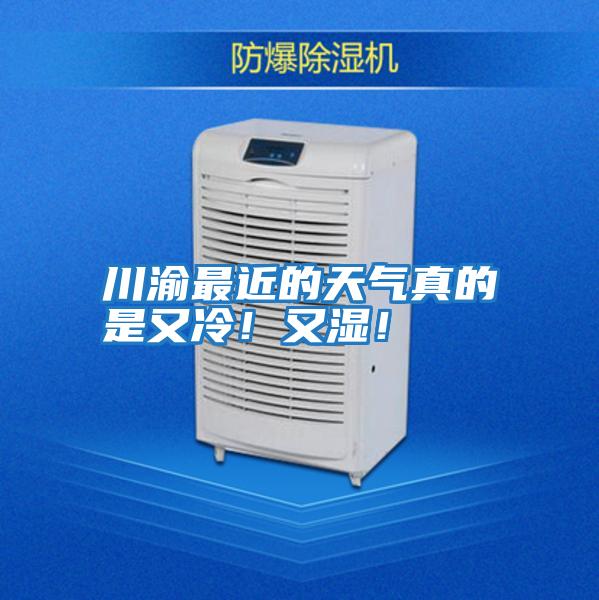 川渝最近的天氣真的是又冷！又濕！