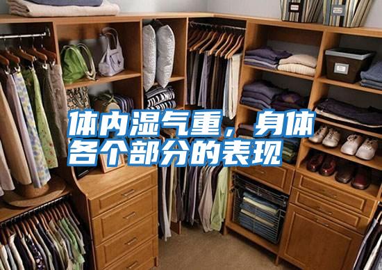 體內濕氣重，身體各個(gè)部分的表現