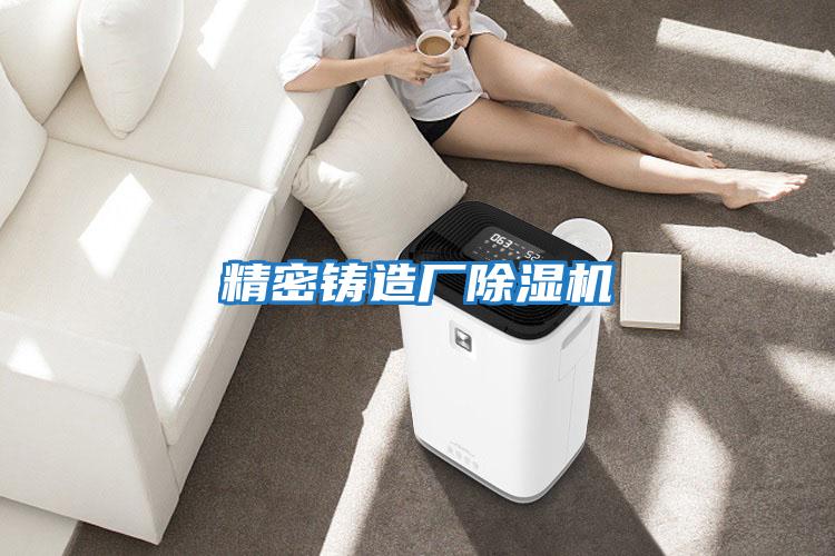 精密鑄造廠(chǎng)除濕機