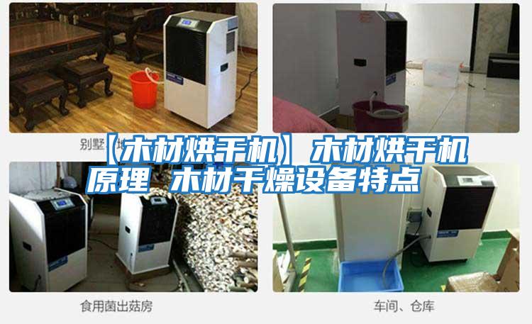 【木材烘干機】木材烘干機原理 木材干燥設備特點(diǎn)