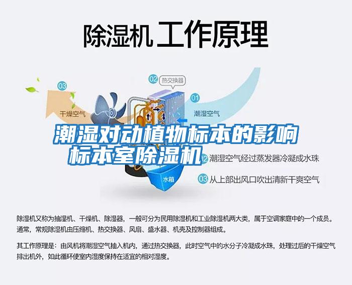 潮濕對動(dòng)植物標本的影響 標本室除濕機
