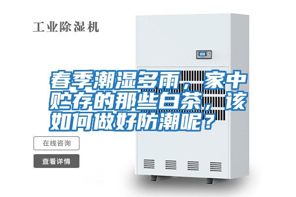 春季潮濕多雨，家中貯存的那些白茶，該如何做好防潮呢？
