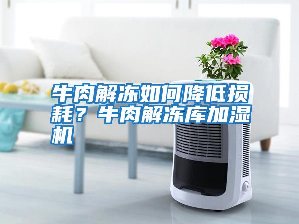 牛肉解凍如何降低損耗？牛肉解凍庫加濕機