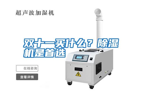 雙十一買(mǎi)什么？除濕機是首選