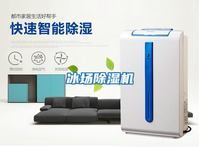 冰場(chǎng)除濕機