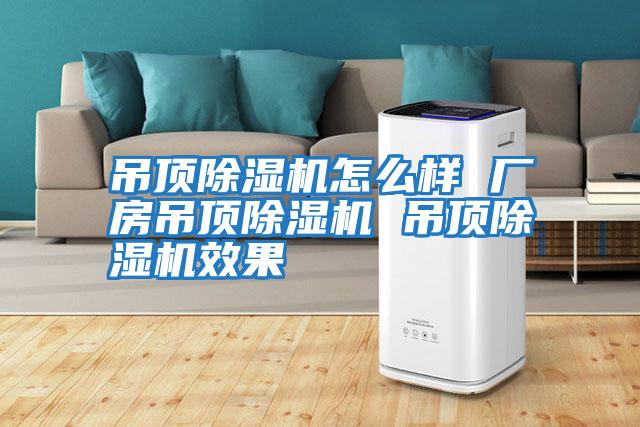 吊頂除濕機怎么樣 廠(chǎng)房吊頂除濕機 吊頂除濕機效果