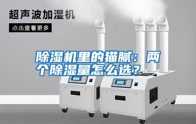 除濕機里的貓膩：兩個(gè)除濕量怎么選？