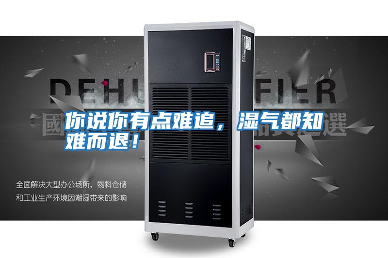 你說(shuō)你有點(diǎn)難追，濕氣都知難而退！