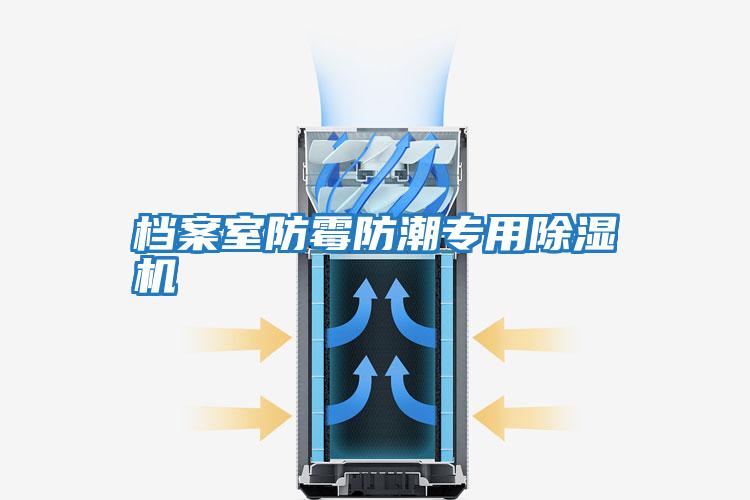 檔案室防霉防潮專(zhuān)用除濕機