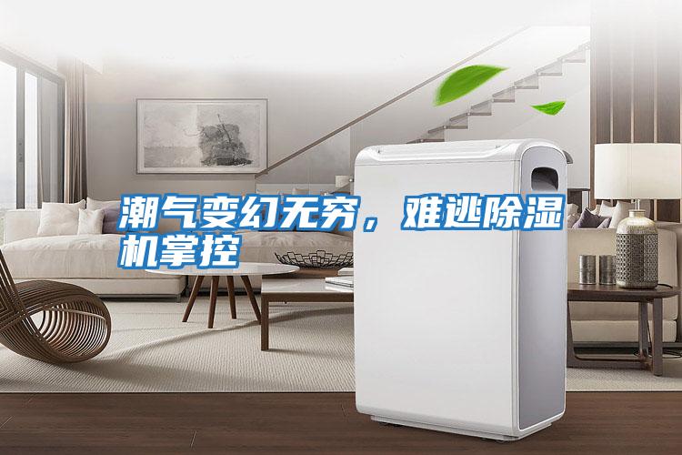 潮氣變幻無(wú)窮，難逃除濕機掌控