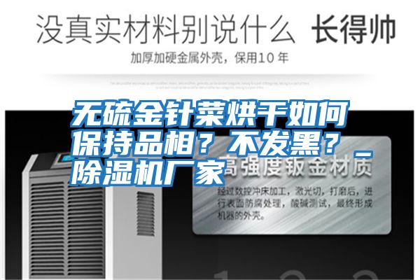 無(wú)硫金針菜烘干如何保持品相？不發(fā)黑？_除濕機廠(chǎng)家