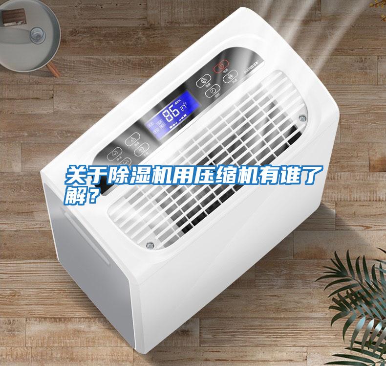 關(guān)于除濕機用壓縮機有誰(shuí)了解？