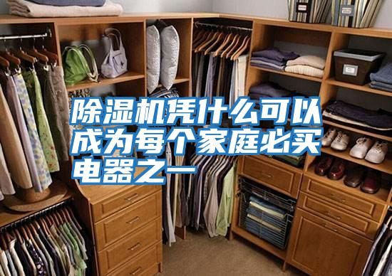 除濕機憑什么可以成為每個(gè)家庭必買(mǎi)電器之一