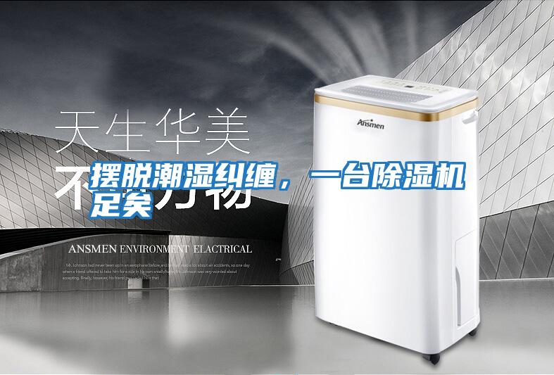 擺脫潮濕糾纏，一臺除濕機足矣