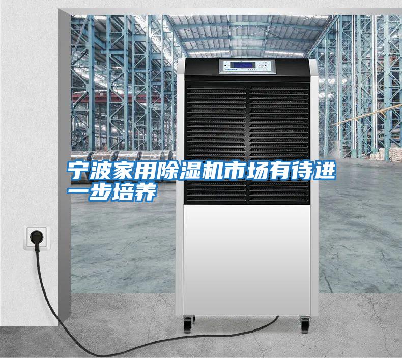 寧波家用除濕機市場(chǎng)有待進(jìn)一步培養