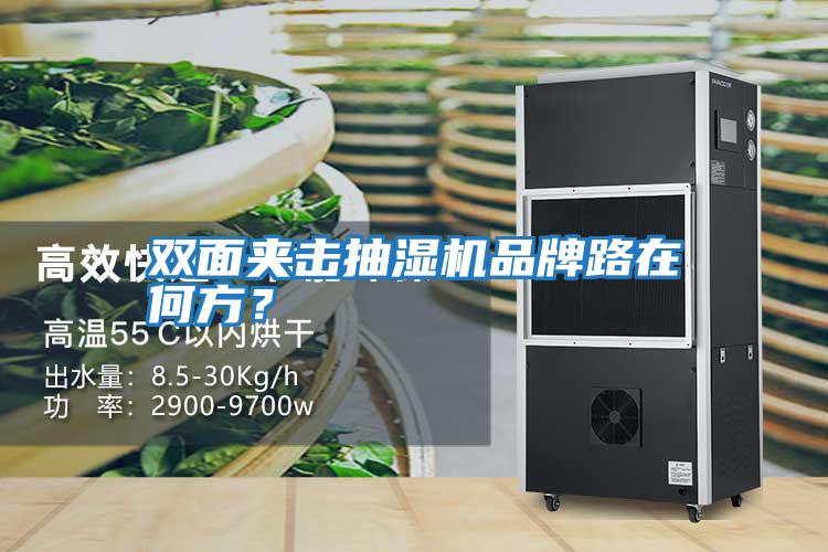 雙面夾擊抽濕機品牌路在何方？