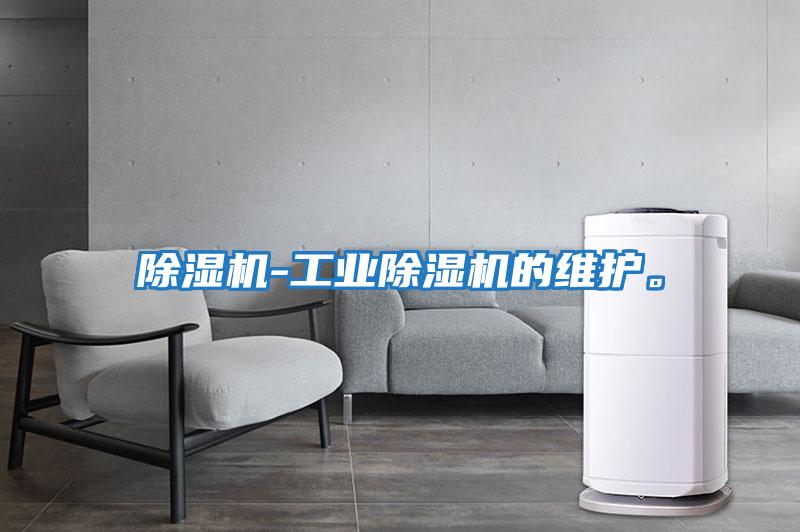 除濕機-工業(yè)除濕機的維護。