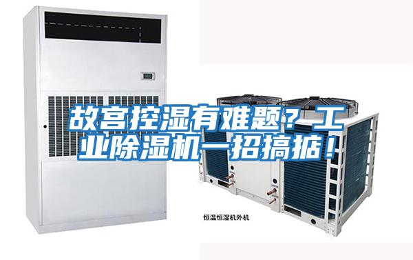 故宮控濕有難題？工業(yè)除濕機一招搞掂！