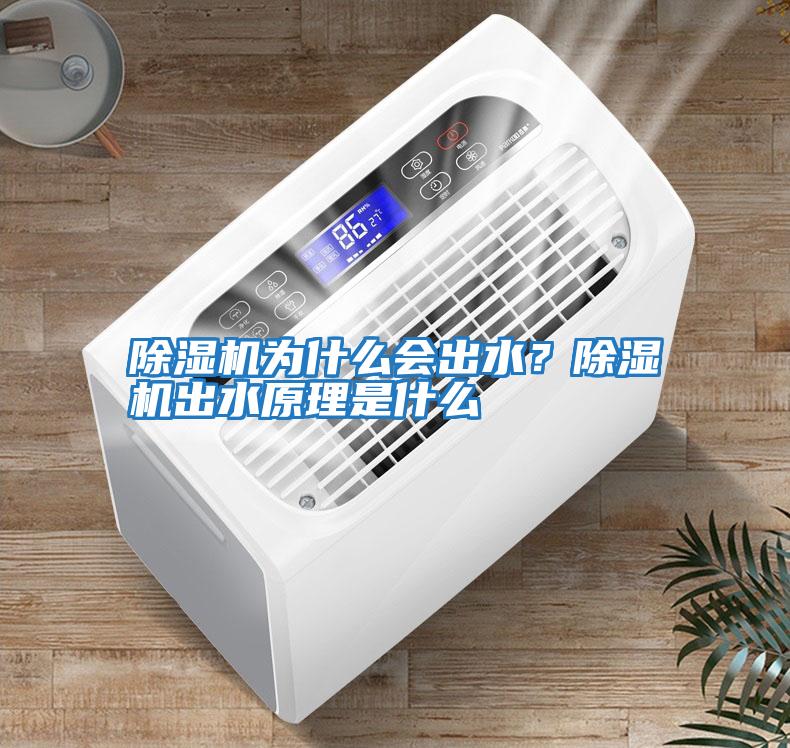 除濕機為什么會(huì )出水？除濕機出水原理是什么
