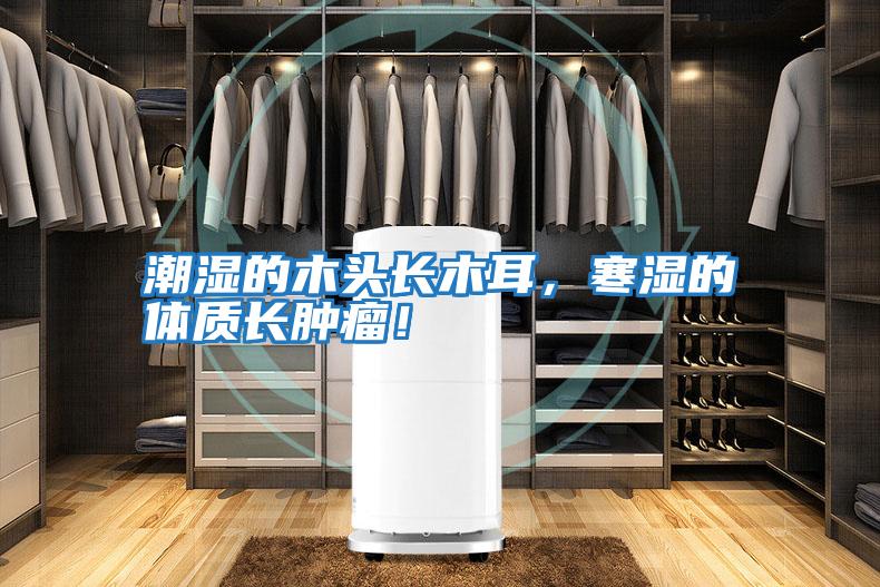 潮濕的木頭長(cháng)木耳，寒濕的體質(zhì)長(cháng)腫瘤！