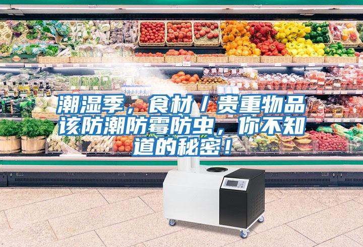 潮濕季，食材／貴重物品該防潮防霉防蟲(chóng)，你不知道的秘密！