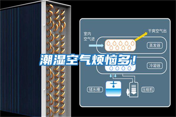 潮濕空氣煩惱多！