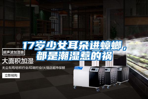 17歲少女耳朵進(jìn)蟑螂，都是潮濕惹的禍