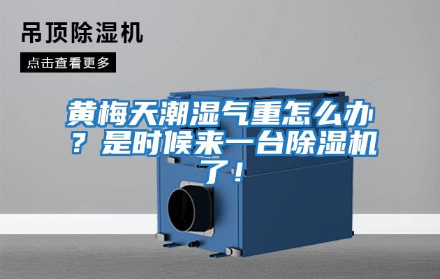 黃梅天潮濕氣重怎么辦？是時(shí)候來(lái)一臺除濕機了！