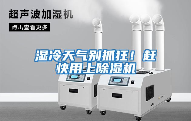 濕冷天氣別抓狂！趕快用上除濕機