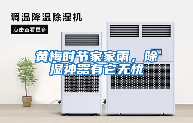 黃梅時(shí)節家家雨，除濕神器有它無(wú)憂(yōu)