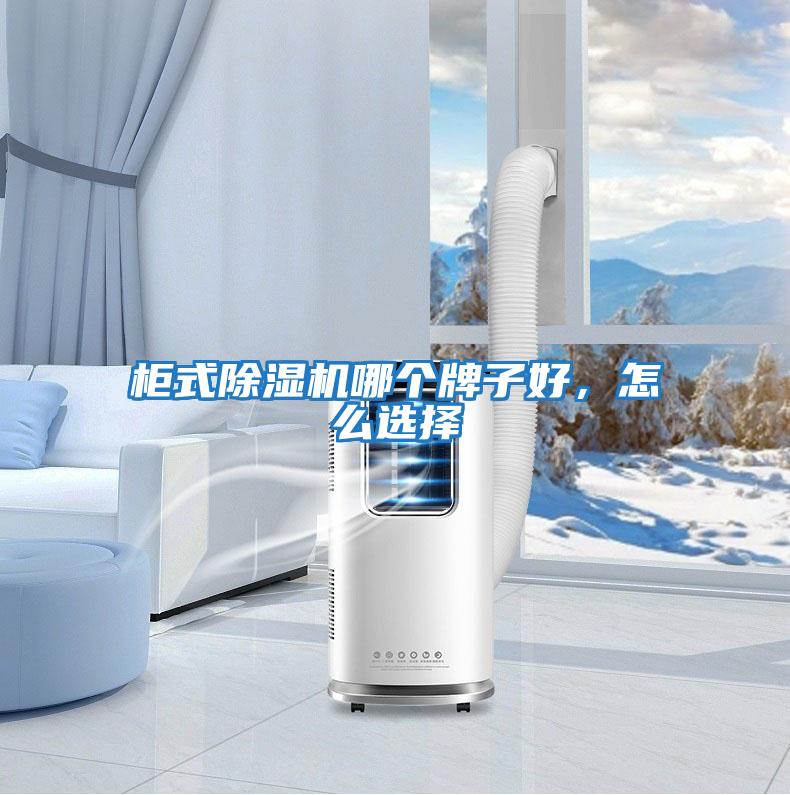 柜式除濕機哪個(gè)牌子好，怎么選擇