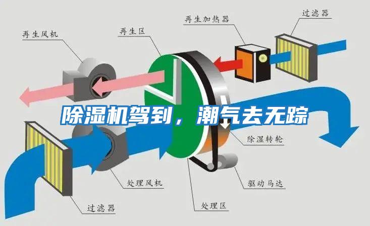 除濕機駕到，潮氣去無(wú)蹤